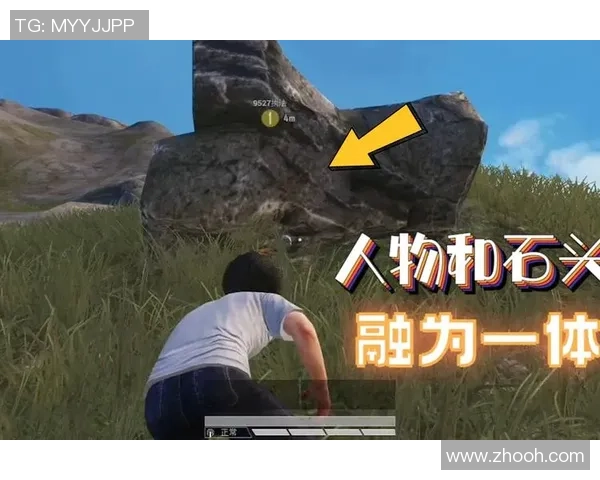 和平精英引发热议FPX技术争议背后的真相与影响分析 和平精英引发热议FPX技术争议背后的真相与影响分析