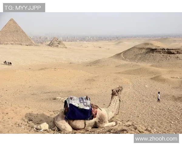 极限运动的战术解析：杭州极限运动队的区域防守策略揭秘