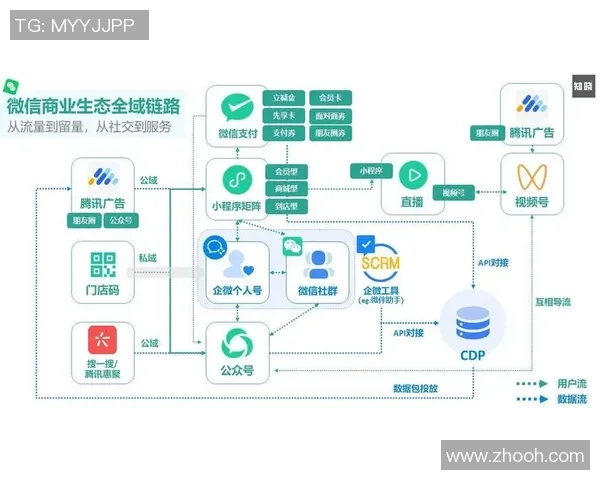深圳乒乓球队的运营模式与发展策略深度解析